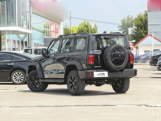 2024 탱크 300 크로스 컨트리 2.0T 터보 가솔린 SUV 최대 토크 Nm 300-400Nm