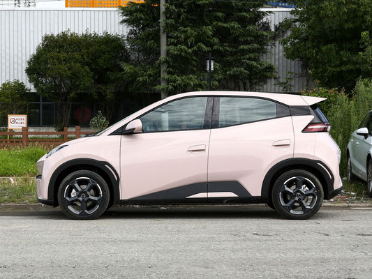 BYD 세이글 EV 자동차 미니 Byd 2024 최고 속도 130km/h 리?? 철화강 배터리