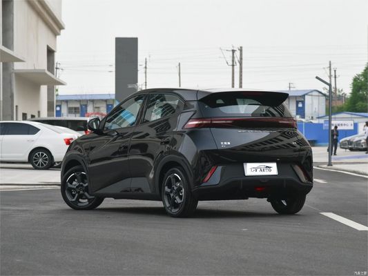 에너지 유형 배터리 전기 차량 BYD 시어거 4 좌석 해치백 2024 SUV 차량