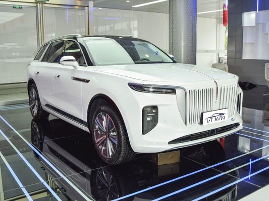 6석 전동차 2024 홍콩시 E-HS9 660km 범위와 세차 리?? 배터리