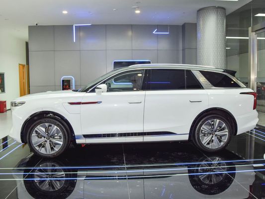 6석 전동차 2024 홍콩시 E-HS9 660km 범위와 세차 리?? 배터리