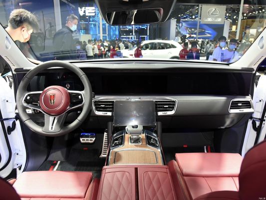 6석 전동차 2024 홍콩시 E-HS9 660km 범위와 세차 리?? 배터리