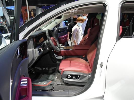 6석 전동차 2024 홍콩시 E-HS9 660km 범위와 세차 리?? 배터리