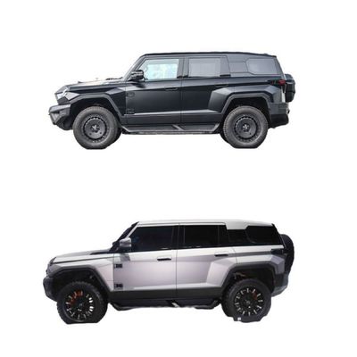 확장 범주 전기 SUV 2024 둥펑 랩터 M-히로 917 고객 요구 사항