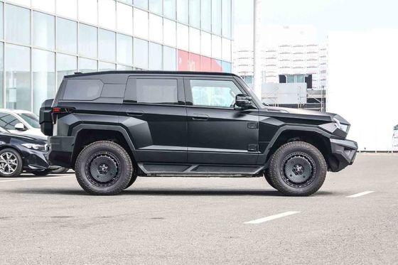 확장 범주 전기 SUV 2024 둥펑 랩터 M-히로 917 고객 요구 사항