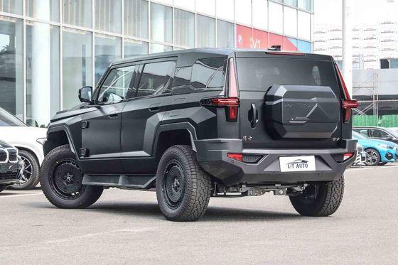 확장 범주 전기 SUV 2024 둥펑 랩터 M-히로 917 고객 요구 사항