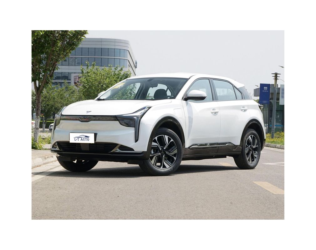 큰 LCD 화면 2024 NETA U 에너지 차량 SUV 순 전기 빠른 충전 자동차