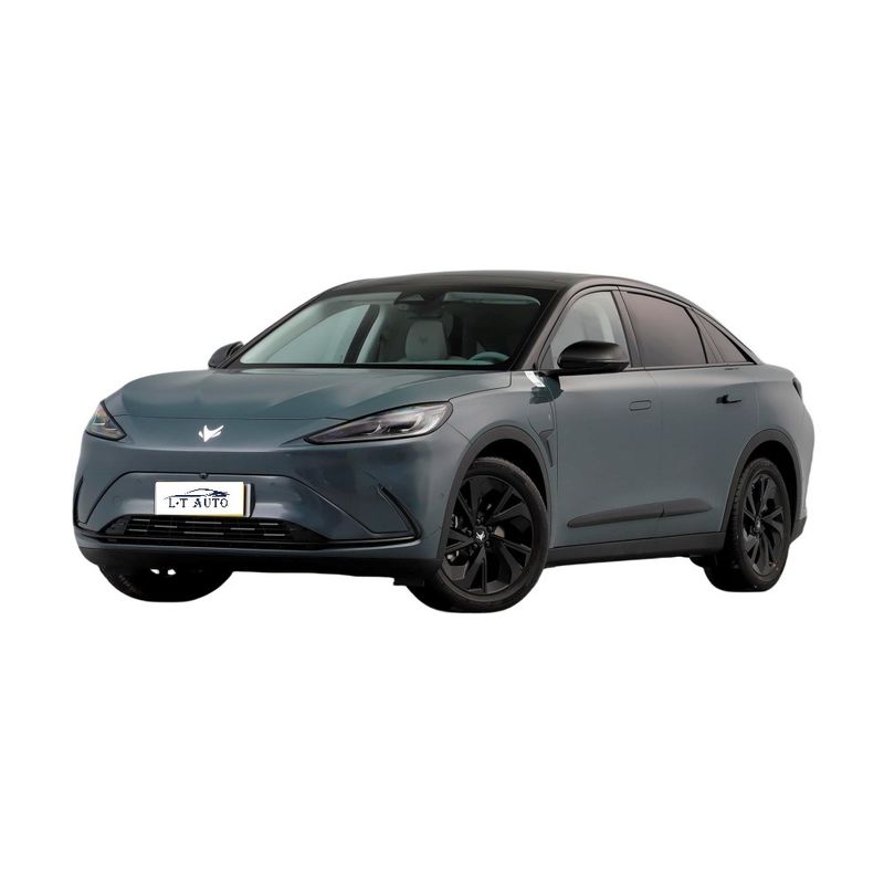 5도어 5석 SUV 폴라 폭스 알파 T ARCFOX S 700km 범위의 에너지 차량